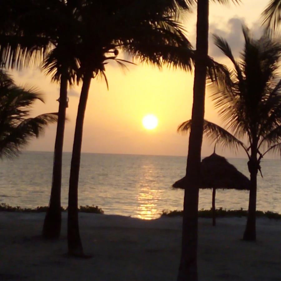 Bwejuu Beach Palm Villa Exterior photo