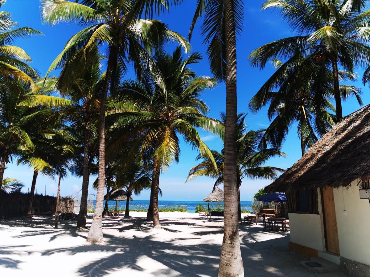 Bwejuu Beach Palm Villa Exterior photo